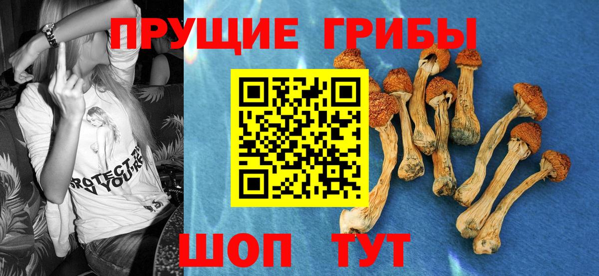Кирово-Чепецк  Псилоцибиновые грибы мицелий  Вход с VPN  Галлюциногенные грибы ЛСД 